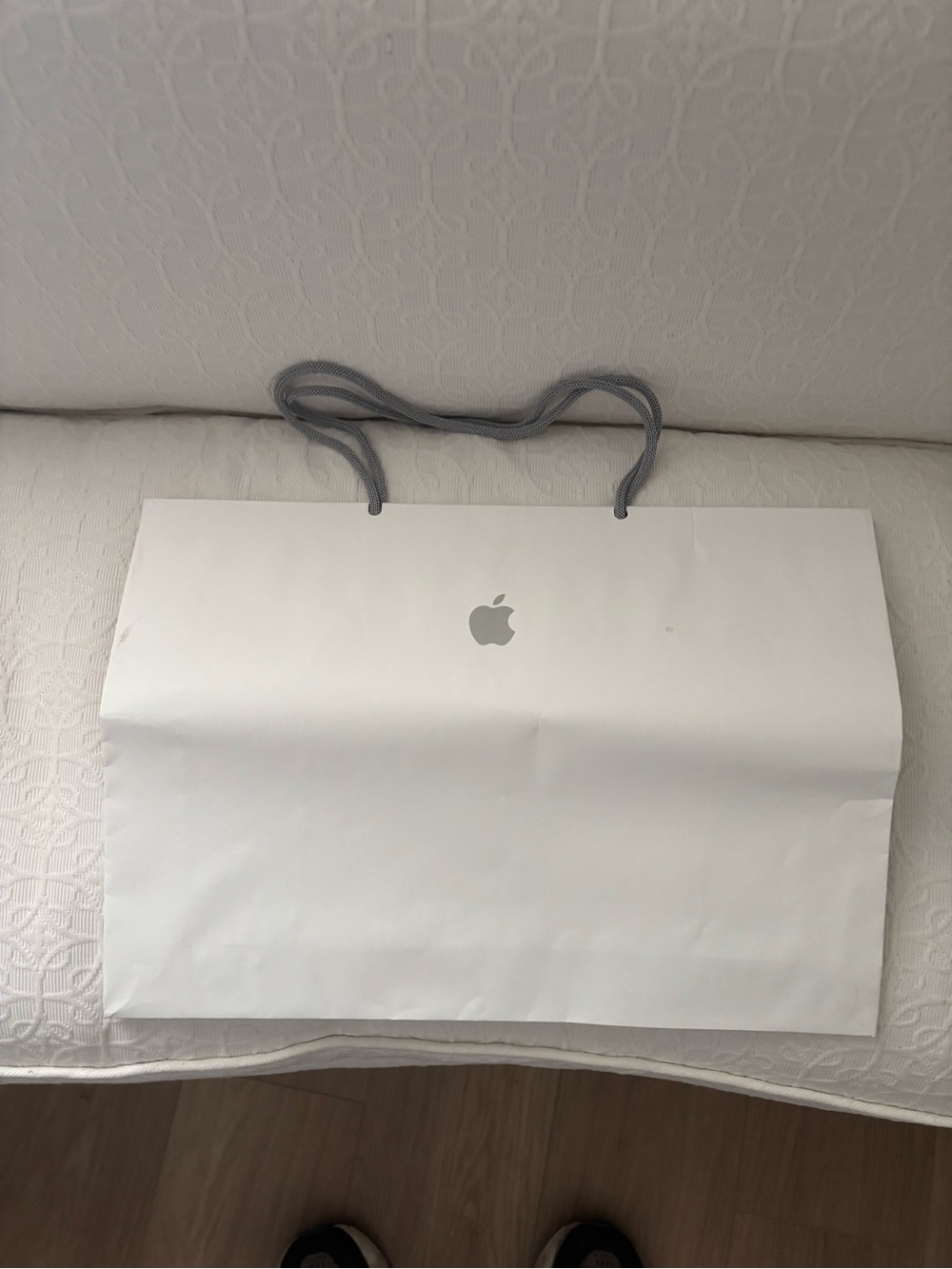 Apple White Paper Gift Bag with Gray Rope Handles
